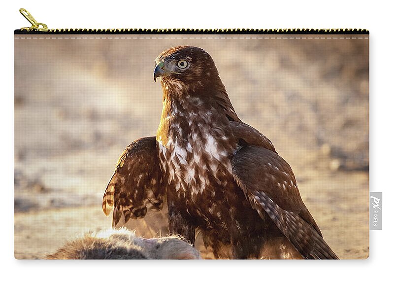 Coopers Hawk Zip Pouch featuring the photograph Hawk and Opossum by Jeff Phillippi
