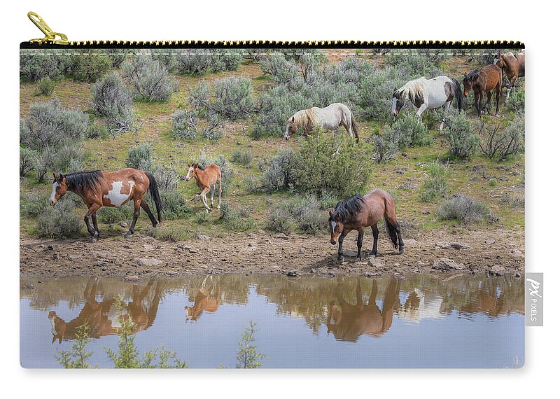Wild Horses Zip Pouch featuring the photograph Heading to the Waterhole - South Steens Mustangs 0989 by Kristina Rinell