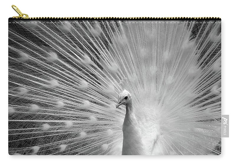 Tail Zip Pouch featuring the photograph Heavenly Peacock Black and White by Ann Bridges