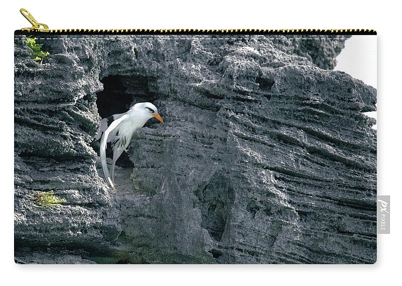 Atlantic Zip Pouch featuring the photograph Help Me Get Out of this Place by Jeff at JSJ Photography