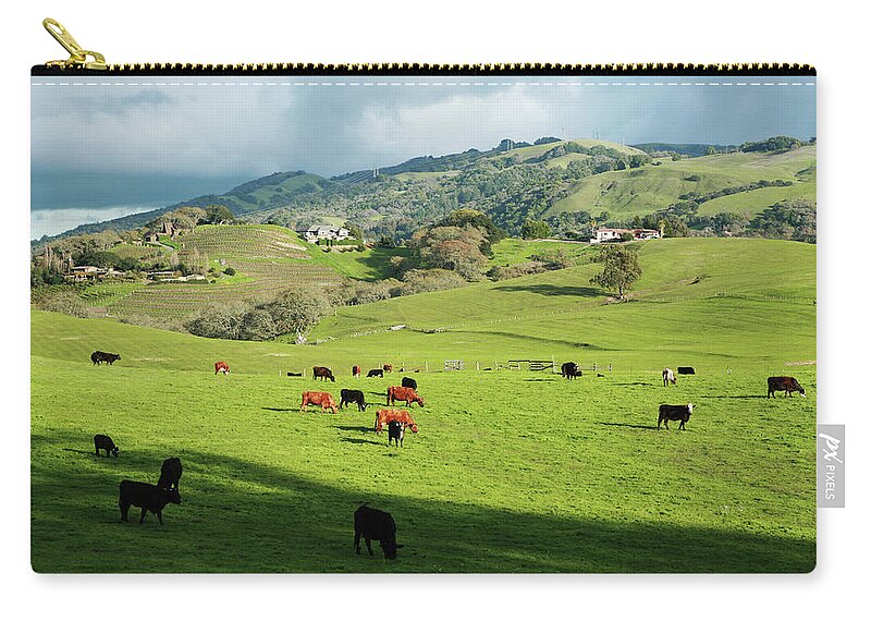 Grass Zip Pouch featuring the photograph Herd Of Cows by Fogline Studio...photos Of Everythhing That Is Beautiful