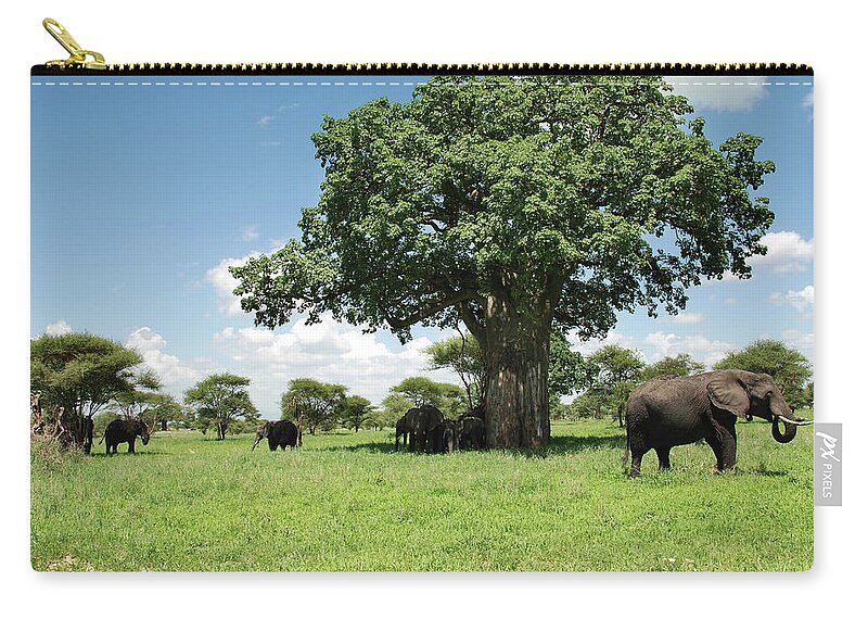 Shadow Zip Pouch featuring the photograph Herd Of Elephants by Volanthevist