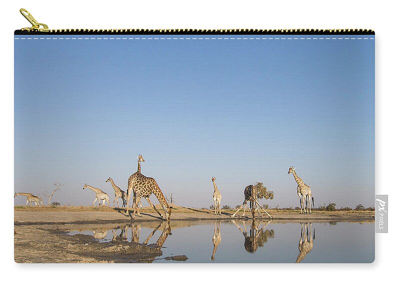 Scenics Zip Pouch featuring the photograph Herd Of Giraffe At Water Hole, Botswana by Paul Souders