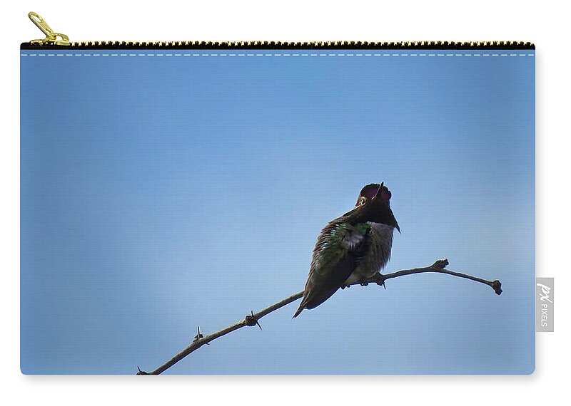 Animals Zip Pouch featuring the photograph Here's Looking At You by Judy Kennedy