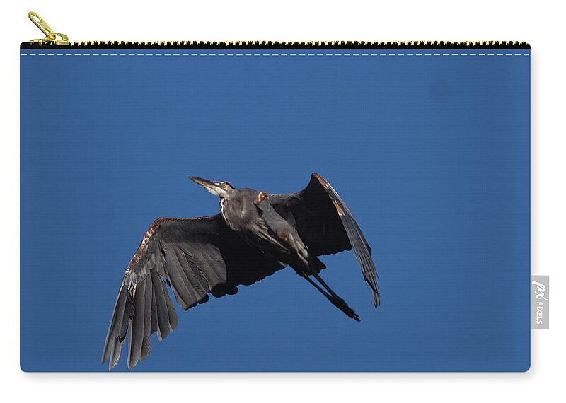 Birds Zip Pouch featuring the photograph Heron in Flight by Paul Ross