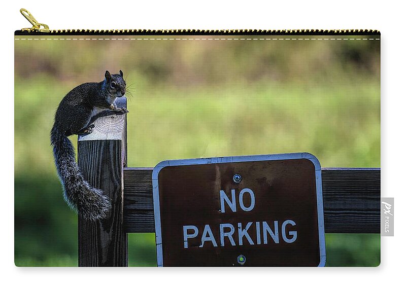 Florida Zip Pouch featuring the photograph Hey Squirrel No Parking by T Lynn Dodsworth
