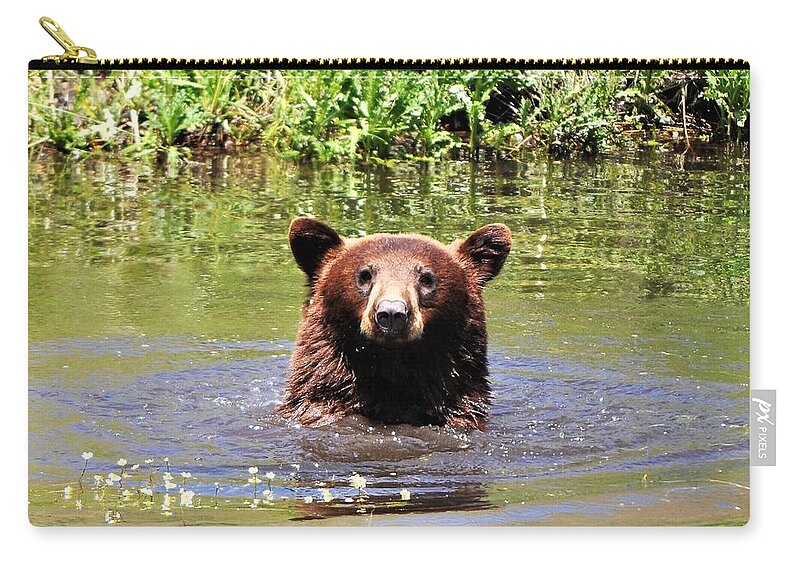 Black Bear Zip Pouch featuring the photograph Hi There by Mike Helland