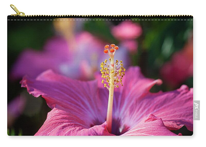 Nature Zip Pouch featuring the photograph Hibiscus Painted Lady 111 by Rich Franco