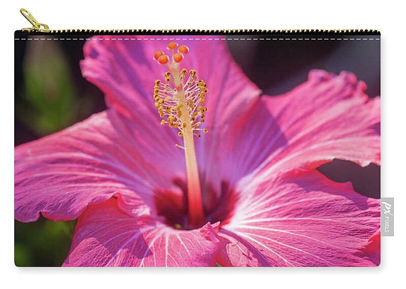 Nature Zip Pouch featuring the photograph Hibiscus Painted Lady 119 by Rich Franco