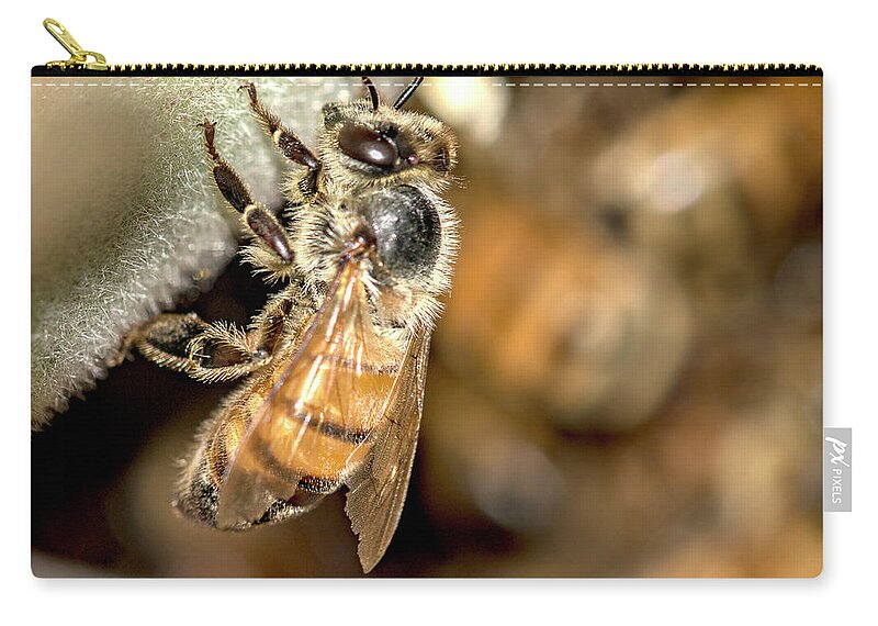 Apis Mellifera Zip Pouch featuring the photograph Hiding from the Swarm 2 by Shawn Jeffries