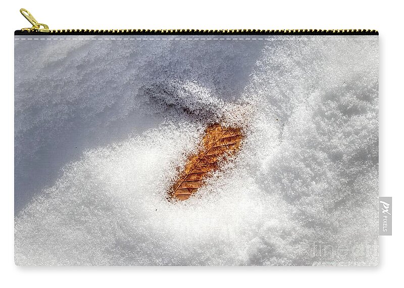 #instagood #hdr #highdynamicrange #skylum #aurorahdr2019 #snow #pinecone #instagramphotos #photography #photographer #instagram #picoftheday #imageoftheday #photo #nature #naturephotography #letchworthstatepark #iloveny #exploring #hiding #hidden #hiking  Zip Pouch featuring the photograph Hiding by Jim Lepard
