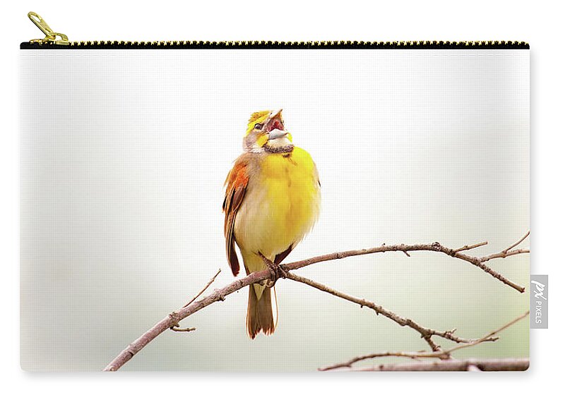 Nature Zip Pouch featuring the photograph High Key Dickcissel by Jeff Phillippi