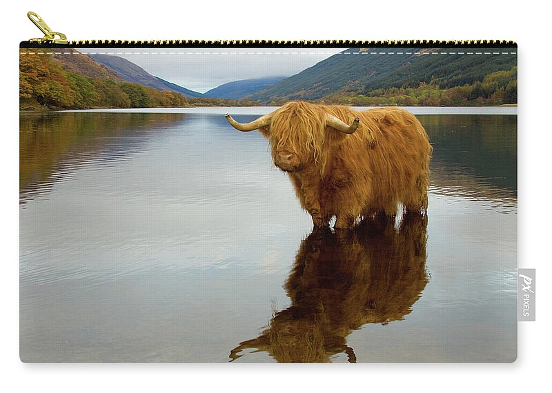 Horned Carry-all Pouch featuring the photograph Highland Cow by Empato
