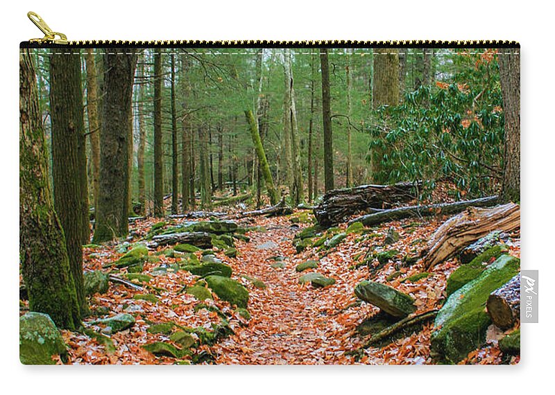 Photo For Sale Carry-all Pouch featuring the photograph Hiking Trail in Autumn by Robert Wilder Jr