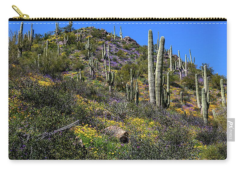 Carnegiea Gigantea Zip Pouch featuring the photograph Hill of Color by Dennis Swena