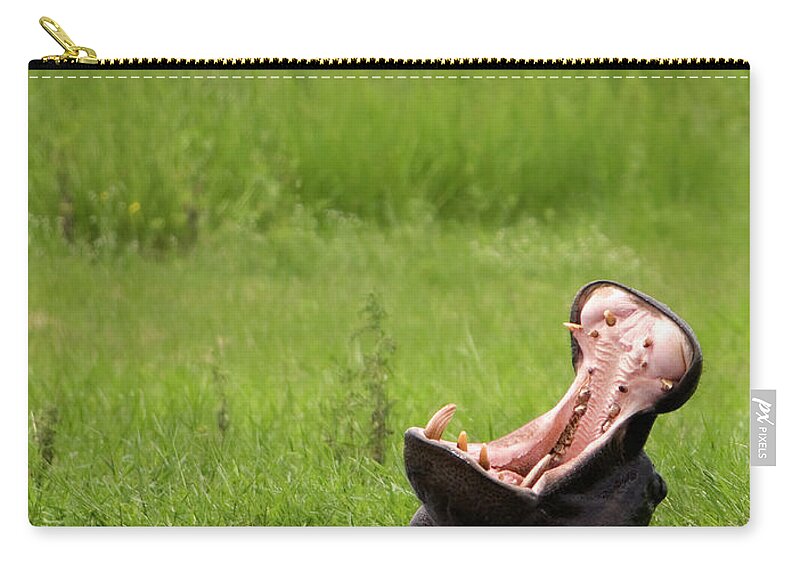 Botswana Zip Pouch featuring the photograph Hippopotamus In River Yawning by Grant Faint