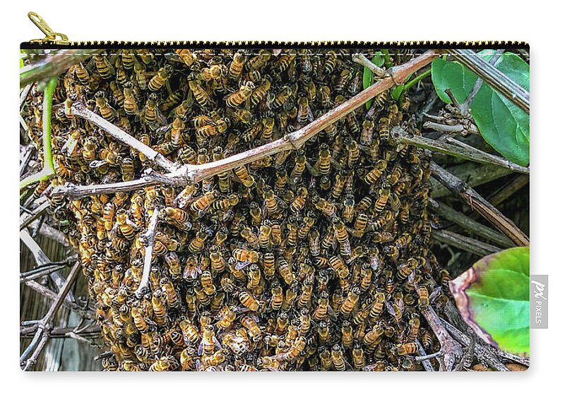 Honey Bees Zip Pouch featuring the photograph Honey Bee Swarm in Vines by Shawn Jeffries