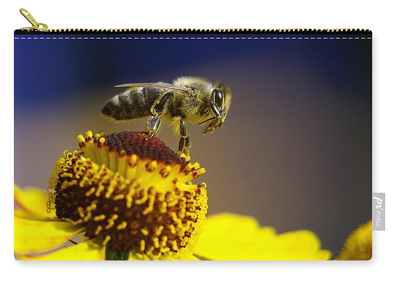 Flowerbed Zip Pouch featuring the photograph Honeybee On A Yellow Flower by Schnuddel