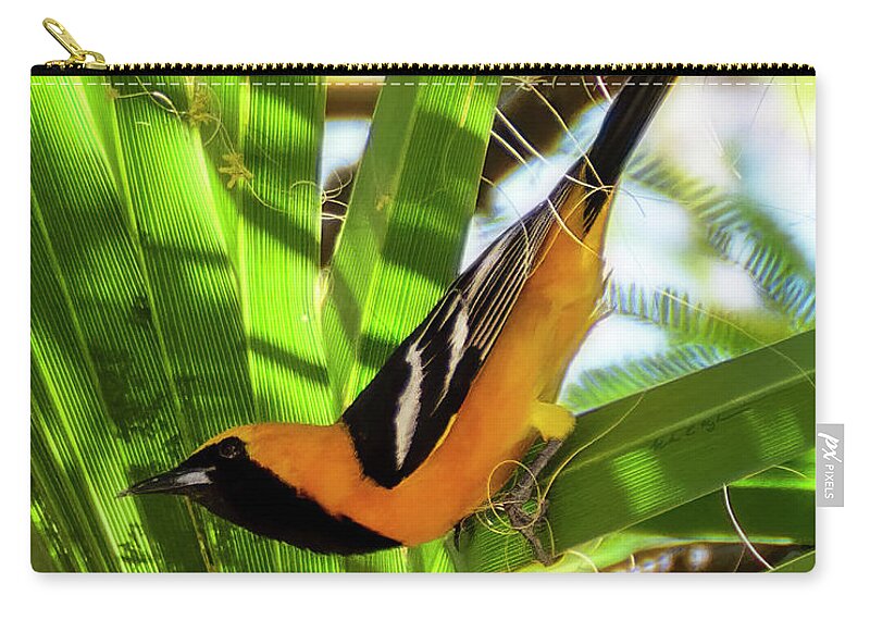 Hooded Oriole Zip Pouch featuring the photograph Hooded Oriole v1912 by Mark Myhaver
