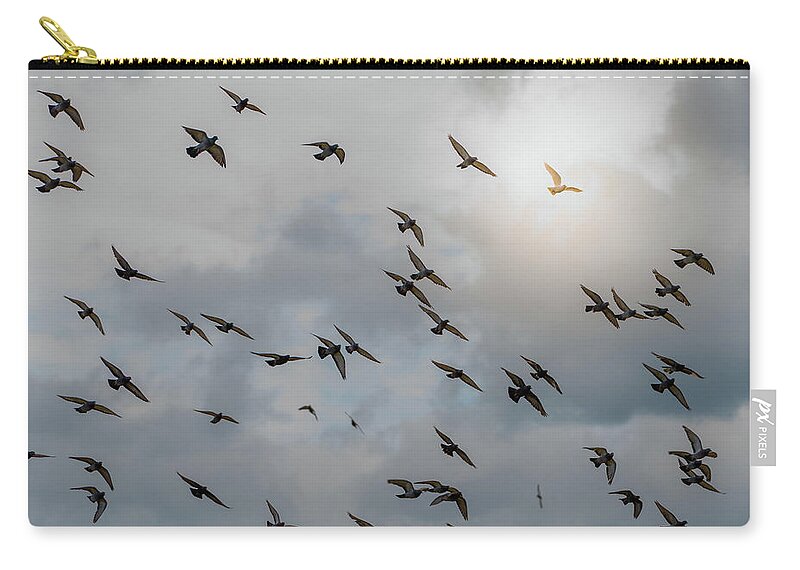 Dove Of Peace Zip Pouch featuring the photograph Hope and salvation, enlightened white dove flies above a flock of dark pigeons under moody sky by Ulrich Wende