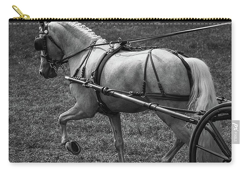 Horse Zip Pouch featuring the photograph Horse 11 by Phil S Addis