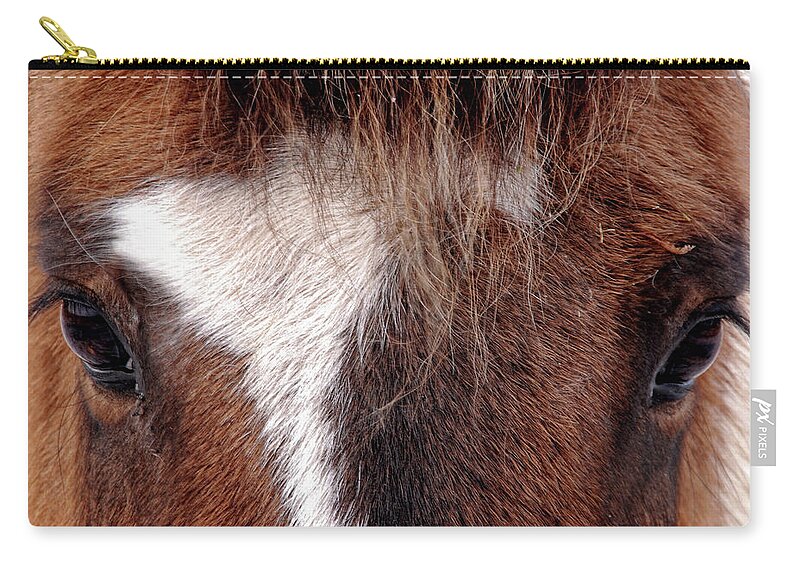 Horse Zip Pouch featuring the photograph Horse by Abe