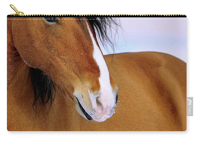 Horse Zip Pouch featuring the photograph Horse Close Up by Photographs By Maria Itina