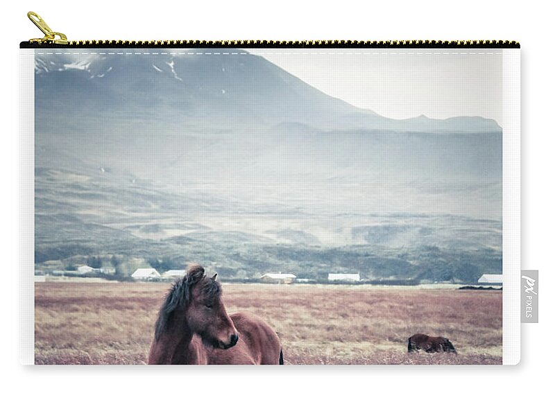 Horse Zip Pouch featuring the photograph Horse by Lise Ulrich Fine Art Photography