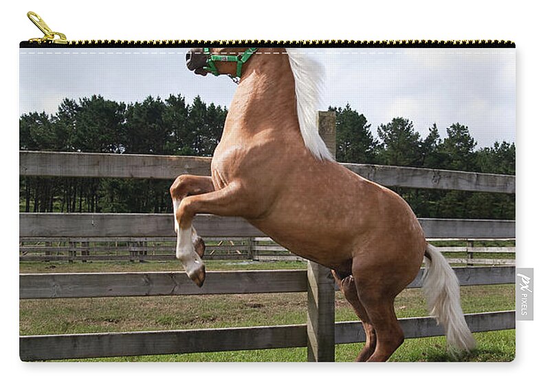 Horse Zip Pouch featuring the photograph Horse Rampant by Phooey