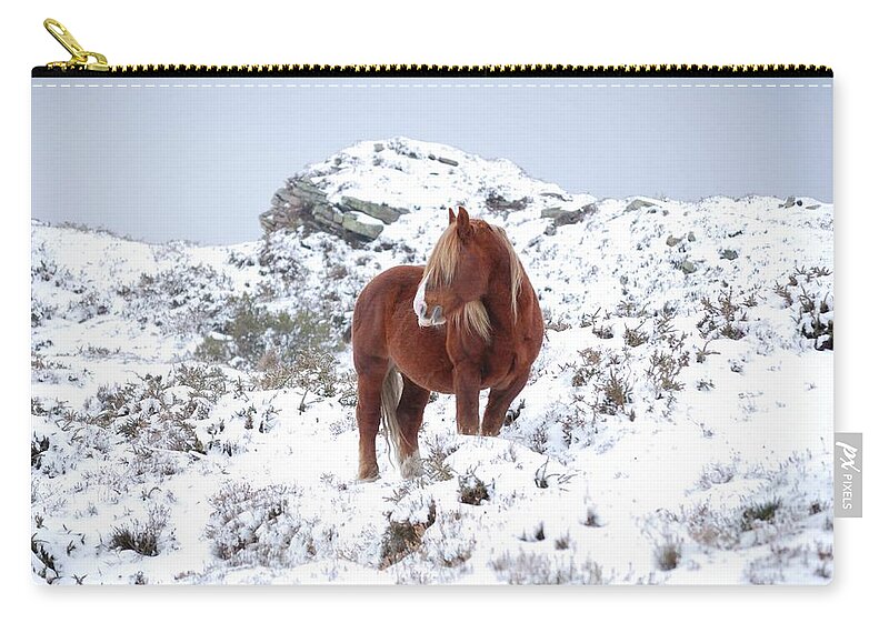Horse Zip Pouch featuring the photograph Horse Standing In Snow by Jesús I. Bravo Soler