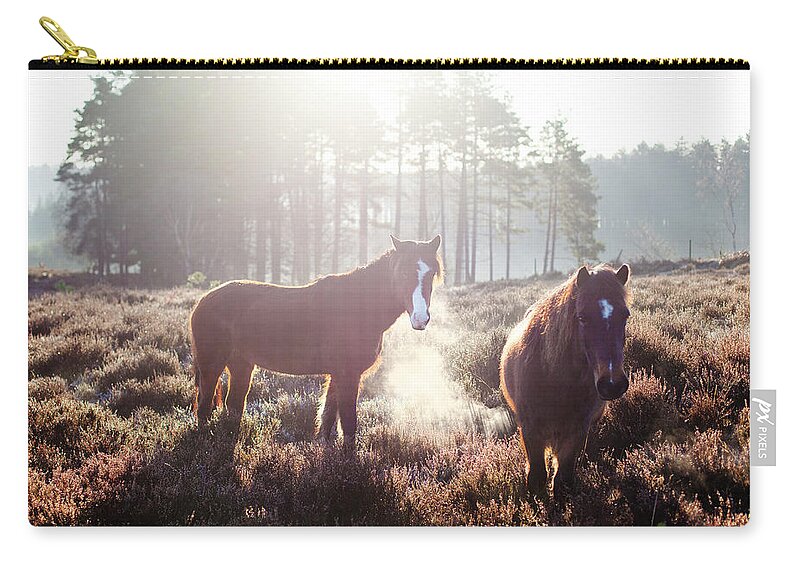 Horse Zip Pouch featuring the photograph Horses At Sunrise, New Forest, Hampshire by Simon J Byrne