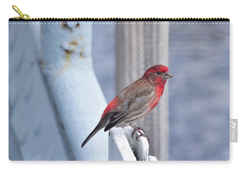 Finch Carry-all Pouch featuring the photograph House Finch on the U.S.S. Wisconsin by Nicole Lloyd
