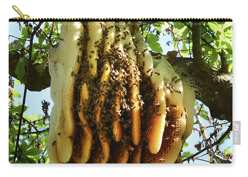 Honey Bee Zip Pouch featuring the photograph Huge Bee's Nest by Jerry Griffin