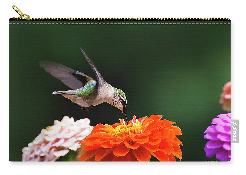 Hummingbird Zip Pouch featuring the photograph Hummingbird in Flight with Orange Zinnia Flower by Christina Rollo