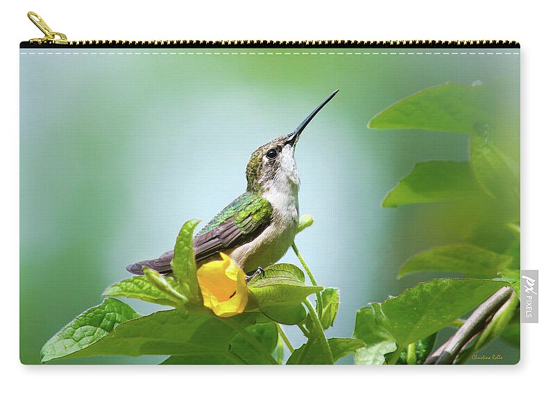 Hummingbirds Zip Pouch featuring the photograph Hummingbird Sitting Pretty by Christina Rollo