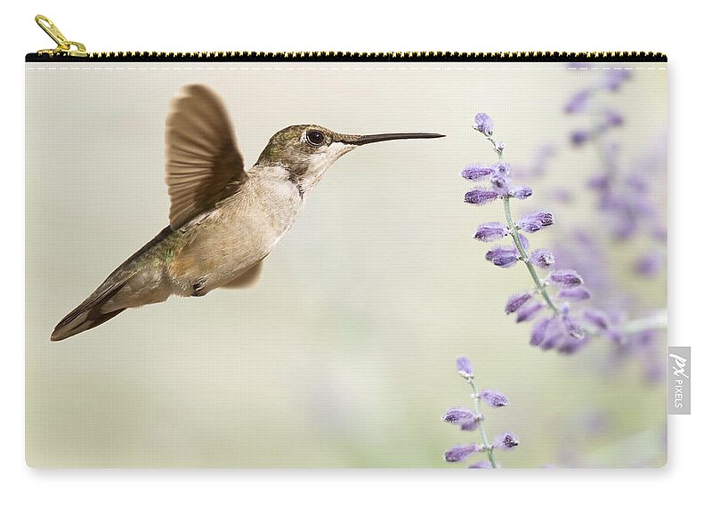 Purple Zip Pouch featuring the photograph Hummingbird With Purple Flowers by Jody Trappe Photography