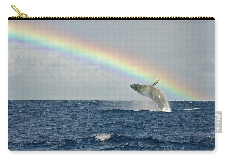 Lahaina Zip Pouch featuring the photograph Humpback Whale Rainbow Breach by Share Your Experiences