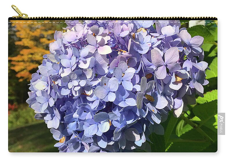 Hydrangea Zip Pouch featuring the photograph Hydrangea 7 by Amy E Fraser