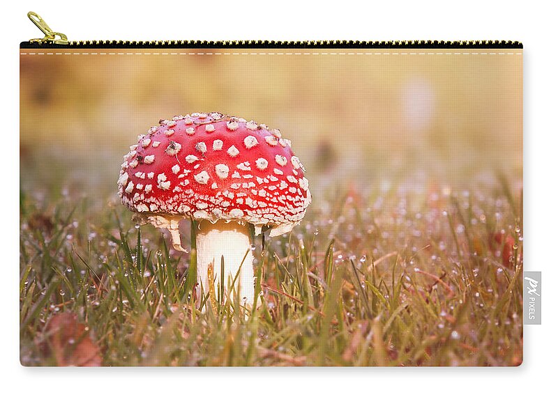 Toadstool Zip Pouch featuring the photograph I know the place by Jaroslav Buna