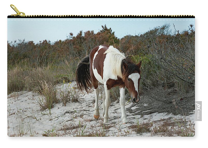 Wild Pony Zip Pouch featuring the photograph I See You by Liz Albro