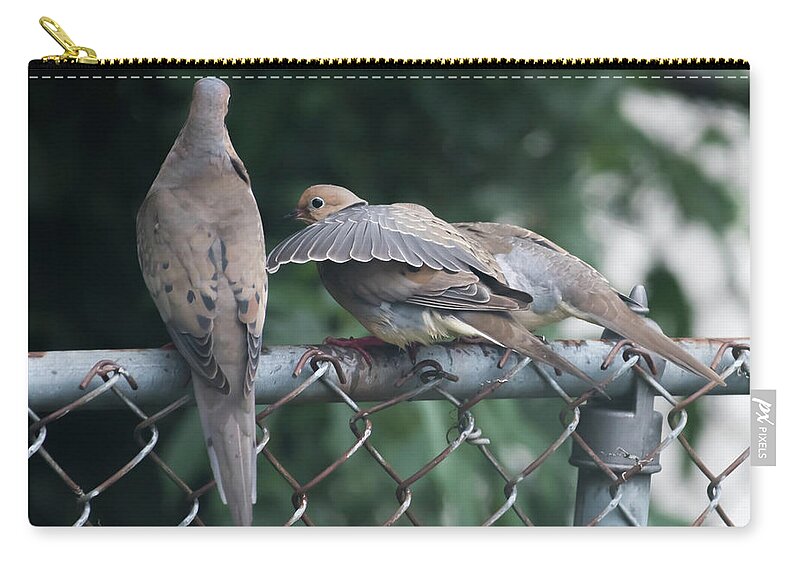 Terry D Photography Zip Pouch featuring the photograph I'll Always Be There For You Mourning Doves by Terry DeLuco