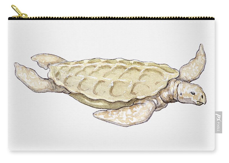 Prehistoric Era Zip Pouch featuring the digital art Illustration Of A Prehistoric Turtle by Dorling Kindersley
