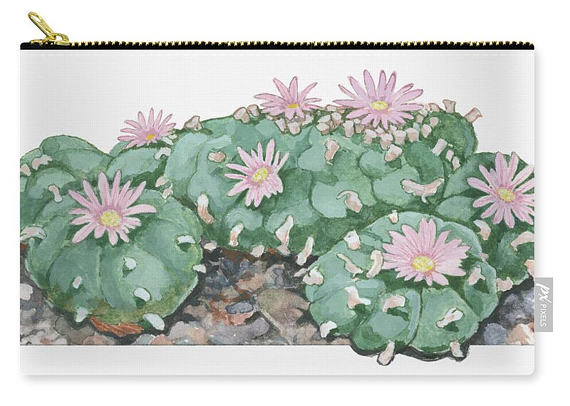 Watercolor Painting Zip Pouch featuring the digital art Illustration Of Lophophora Williamsii by Dorling Kindersley