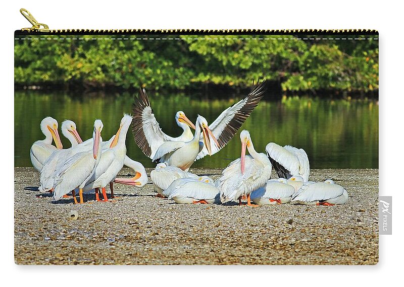 Pelicans Zip Pouch featuring the photograph I'm Not Arguing I Am Explaining Why I Am Right by Michiale Schneider