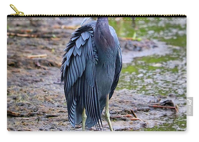 Heron Zip Pouch featuring the photograph Impressive Feathers on Little Blue Heron by Carol Groenen