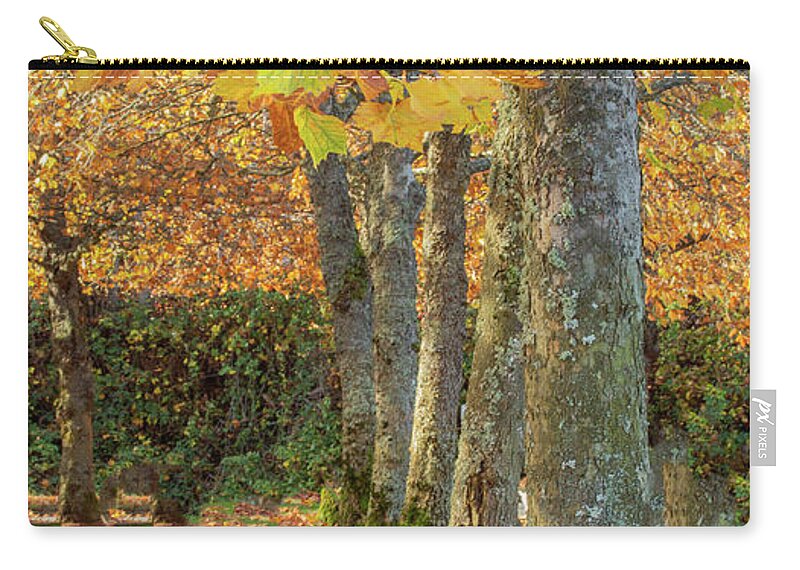 Autumn Carry-all Pouch featuring the photograph In a Row by Bob Cournoyer