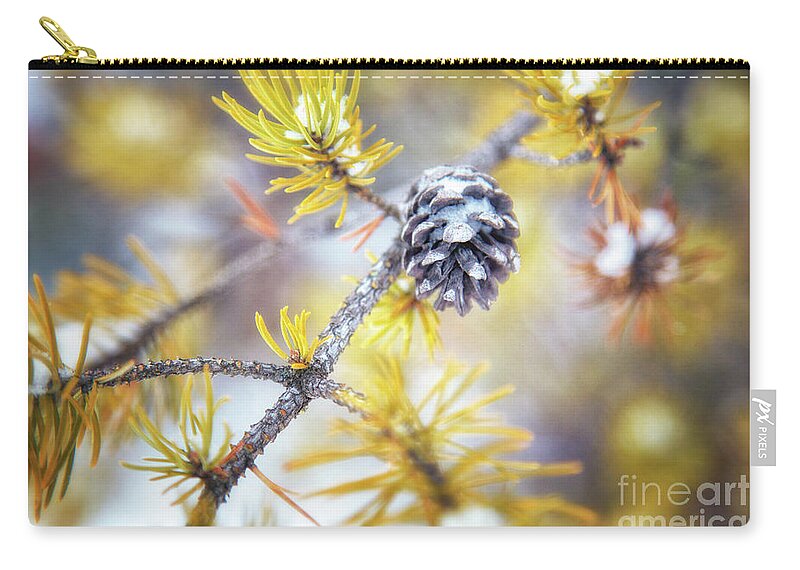 Pine Tree Zip Pouch featuring the photograph In the Pines by Becqi Sherman