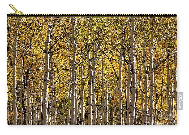 Colorado Zip Pouch featuring the photograph In The Thick Of Aspen by Doug Sturgess