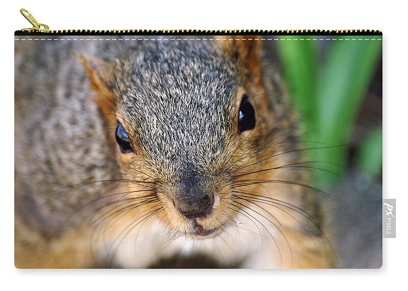 Fox Squirrel Zip Pouch featuring the photograph In Your Face Fox Squirrel by Don Northup