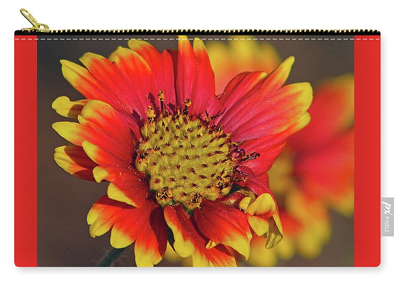 Flower Carry-all Pouch featuring the photograph Indian Blanket by Michael Allard